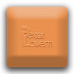 4042 - Orange BOTZ - 2 4042 - Orange BOTZ - 2