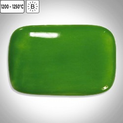 FS6028 - Primevère TERRA COLOR - 1 FS6028 - Primevère TERRA COLOR - 1