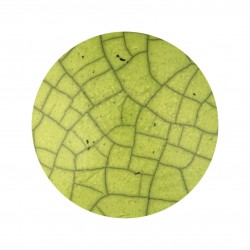G15 - Jaune vert G15 - Jaune vert
