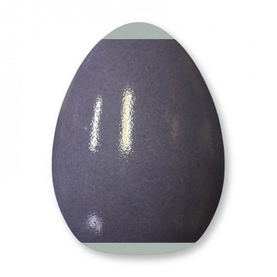 P9457 - Lilas P9457 - Lilas