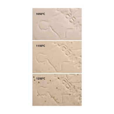 W11PY - Gr&egrave;s blanc pyrit&eacute;