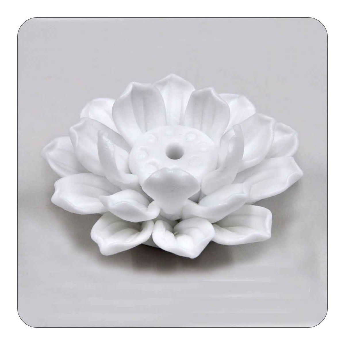 LOTUS - Porcelaine blanche