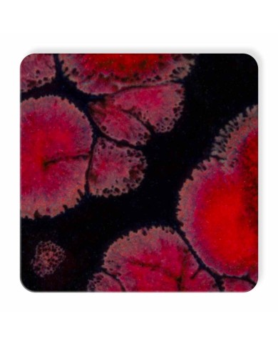 CG-779 - BLACK OPAL CG-779 - BLACK OPAL