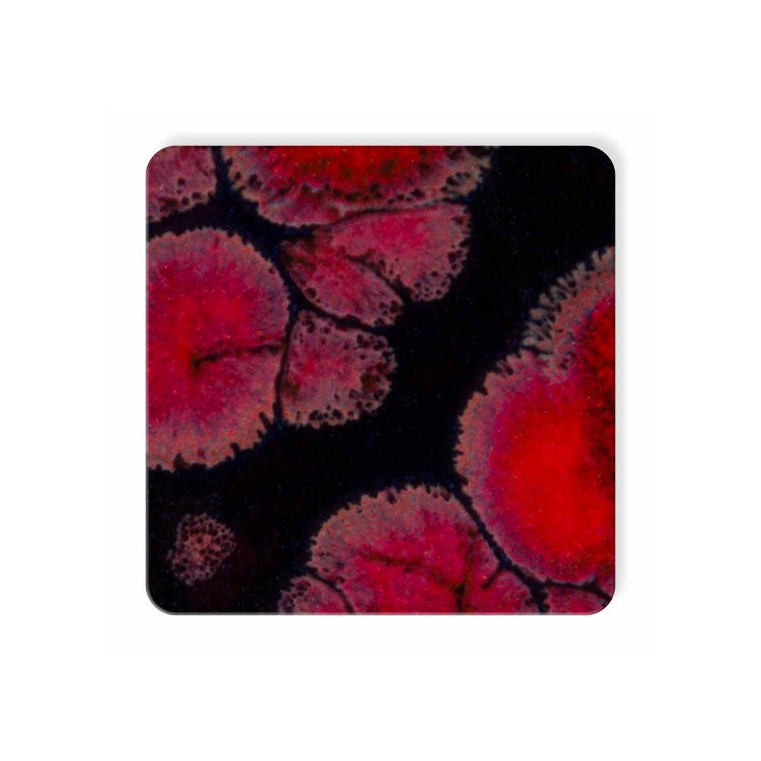 CG-779 - BLACK OPAL