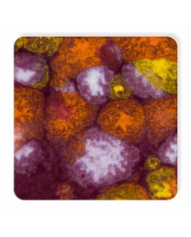 CG-969 - FLORAL FANTASY CG-969 - FLORAL FANTASY