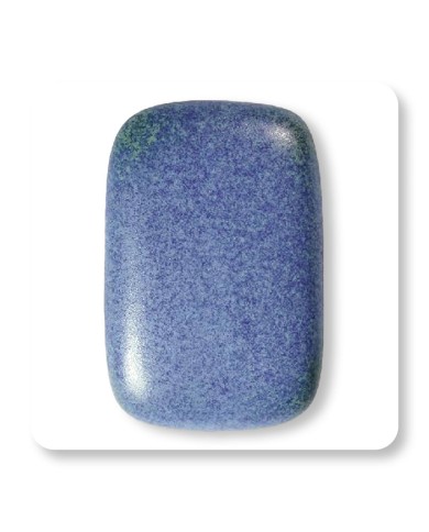 FS6013