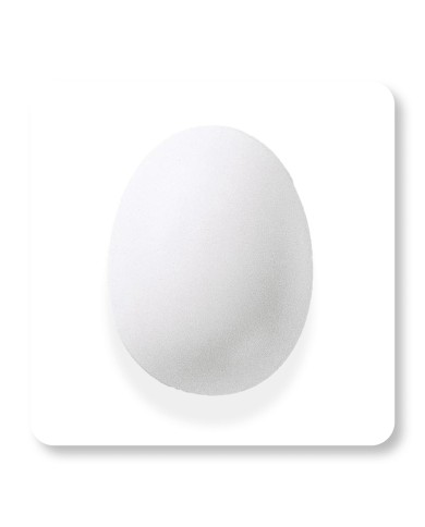 FBM01 - 960-1020°C FBM01 - 960-1020°C