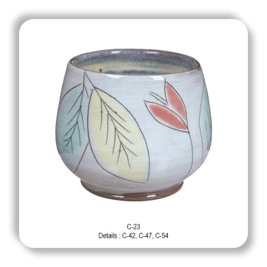 C-23 - Ice