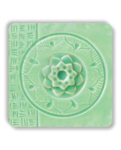 C-24 - Succulent C-24 - Succulent