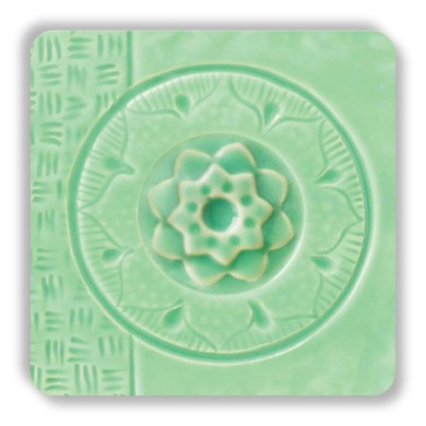 C-24 - Succulent C-24 - Succulent