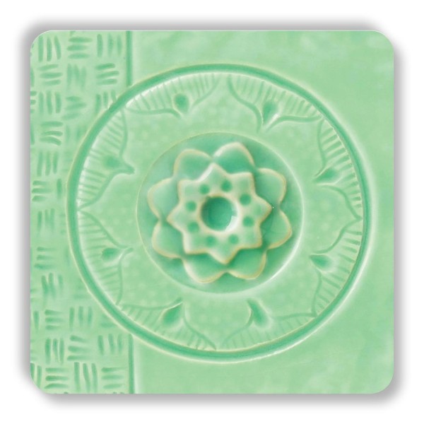 C-24 - Succulent C-24 - Succulent