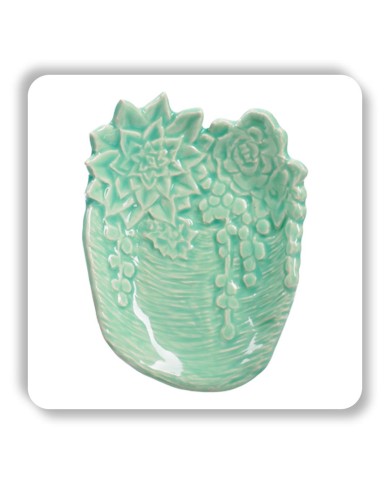 C-24 - Succulent C-24 - Succulent