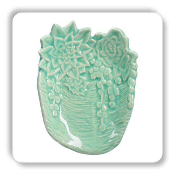 C-24 - Succulent C-24 - Succulent