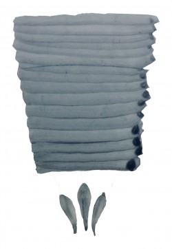 P9914 - Gris PETER LAVEM - 1 P9914 - Gris PETER LAVEM - 1