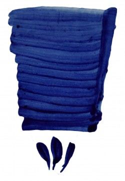 P9903 - Bleu PETER LAVEM - 1 P9903 - Bleu PETER LAVEM - 1