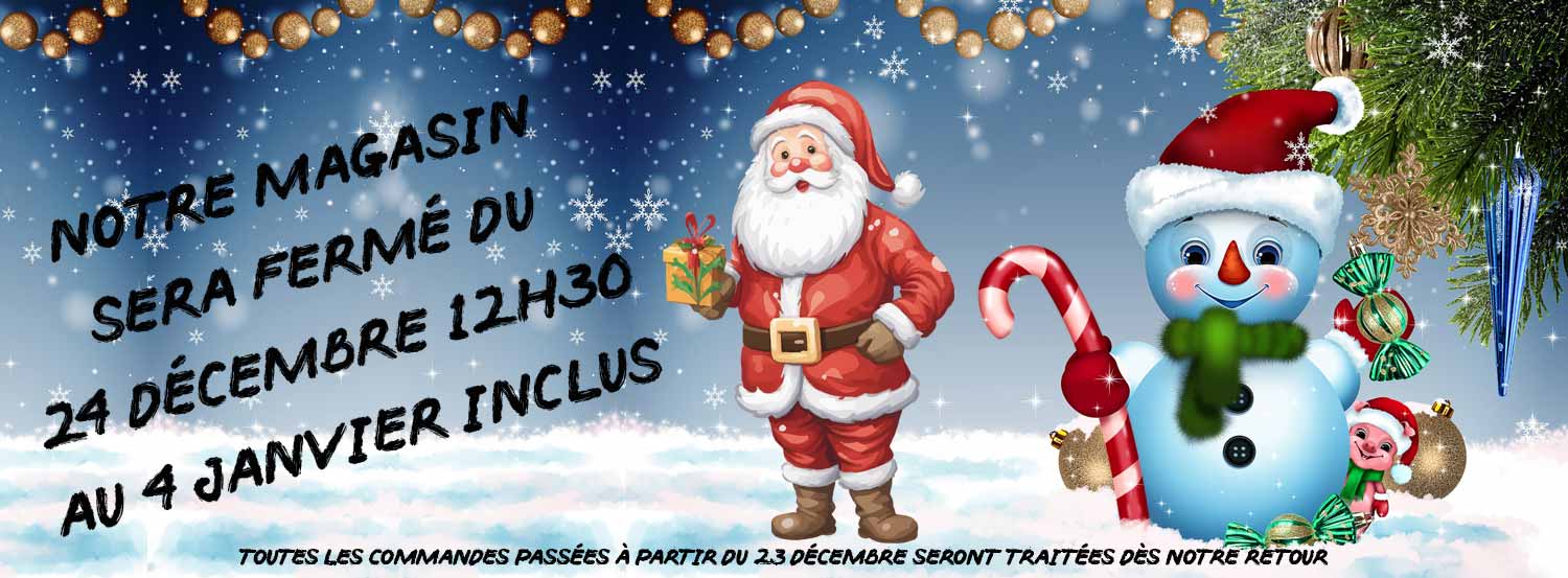 NOEL Slide background